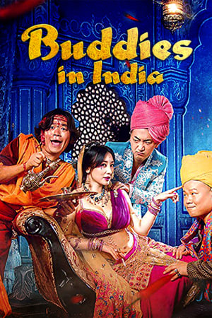 Buddies in India 2017 Dual Audio | Hindi Full Movie Web-DL [880MB]