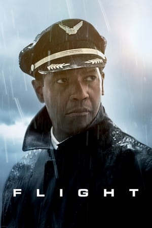 Flight (2012) Dual Audio | Hindi Full Movie BluRay [1GB]