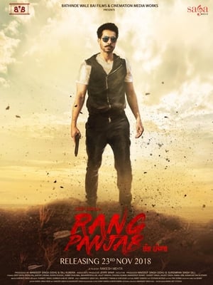 Rang Panjab (2018) Punjabi Movie | Hindi Full Movie HDRip x264 [1GB]
